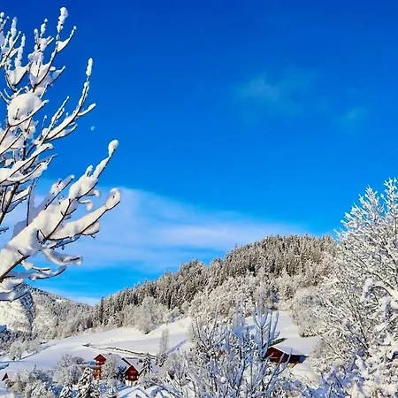 3 Etoiles Avec Vue Imprenable Sur Les Montagnes, Bus *